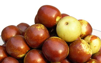 河北特產有哪些